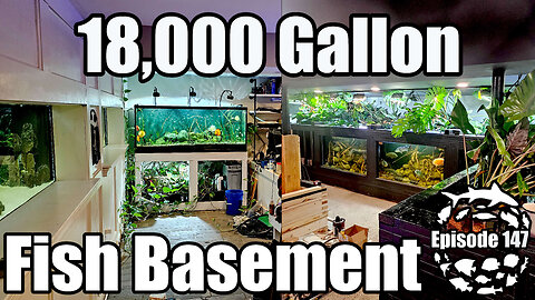 Maintaining a Massive Fish Basement : Behind the Scenes