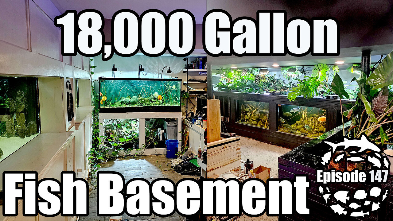 Maintaining a Massive Fish Basement : Behind the Scenes