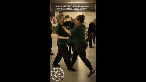Wing Chun Den Haag 👉 wudae.com 👉 Body & Mind Connection 💥 Kung Fu 💥 Free Trial class