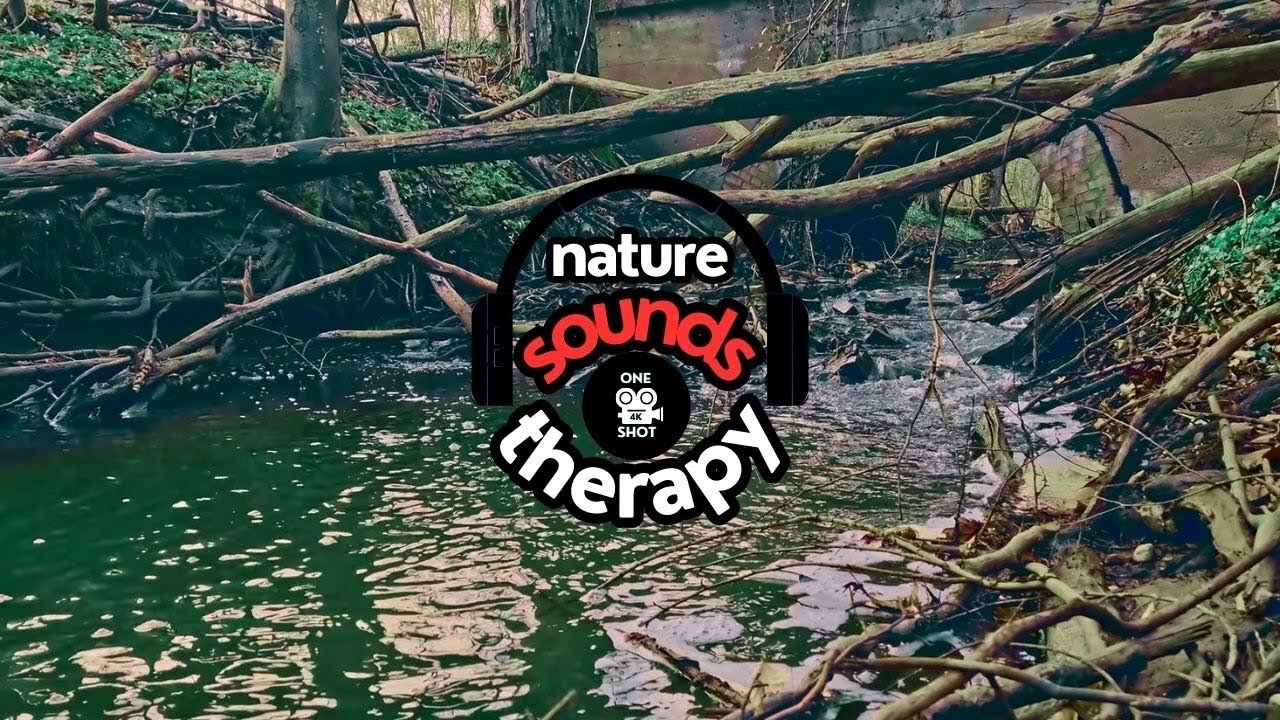 Magic of the Old Bridge- Relaxing Water Sounds in 4K