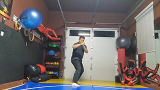 WTD 2 Step Kick Combination 172
