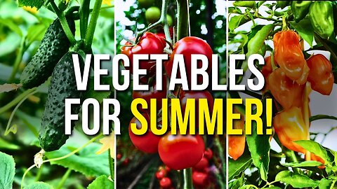 5 Simple To Cultivate Vegetables for Summer! Plants to Grow in Hot Weather! G01