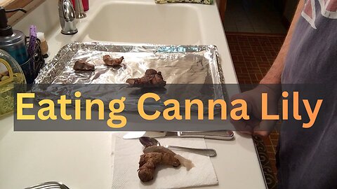 Eating Canna Lily