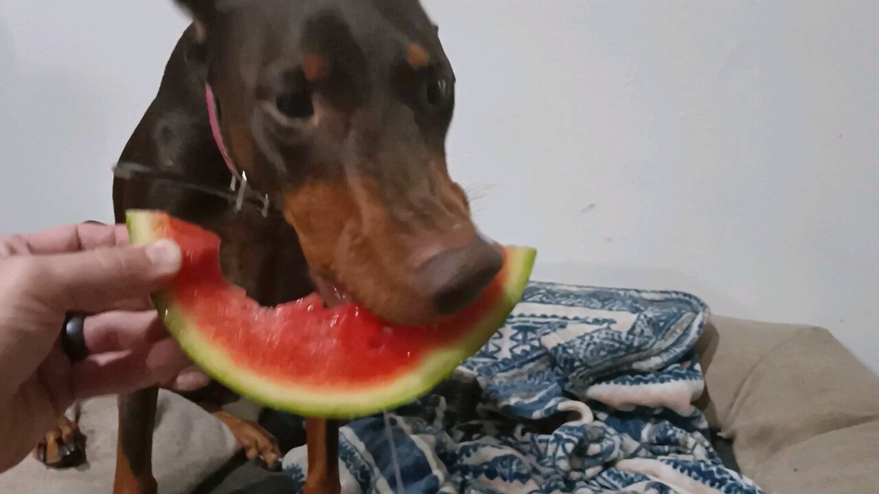 Slow motion Do. slow motion