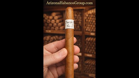 Wasn’t Ready For This Churchill