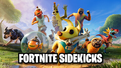 5 NEW Sidekicks in Fortnite (FREE DOG) 🤩