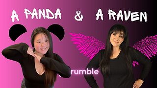 A Panda and A Raven | Kitty is So Pretty...