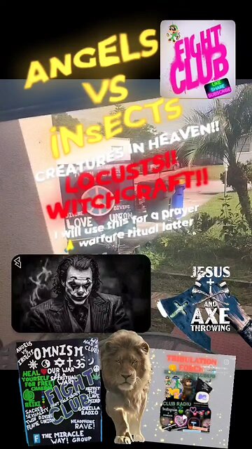 Creatures in heaven!!