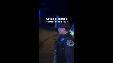 Our question is…how do “lose” a tortoise?