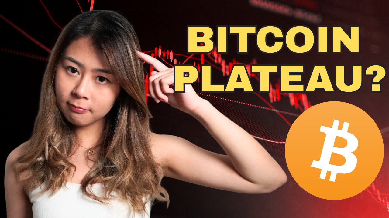 Bitcoin Treasuries Hit Record 1 MILLION BTC — But Why Is Buying Slowing?