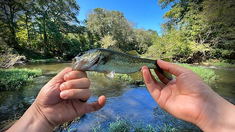 Creek Fishing From The Bank with 1 inch paddle tails