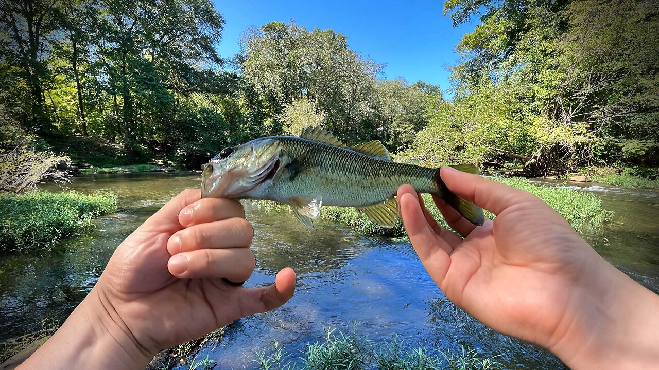 Creek Fishing From The Bank with 1 inch paddle tails