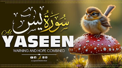 Surah Yaseen | Pulse of the Quran | Emotional & Reflective Tilawat