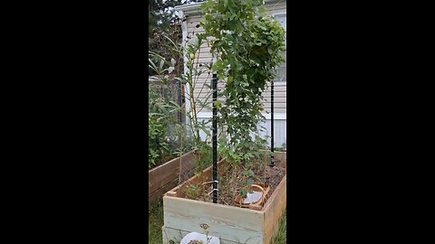 September garden tour