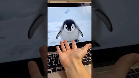 Cute Penguin 🐧