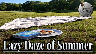 The Larry Seyer Show - Lazy Daze of Summer