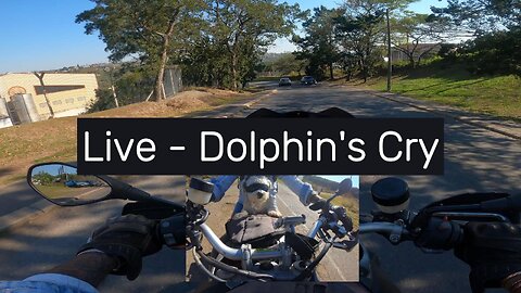 "The Dolphin's Cry" Live