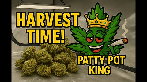 Harvest Time! Buds Down & Big Cleanup Begins 🌿💨