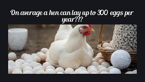 Fun Fact for May 23rd 2025 Pt 2