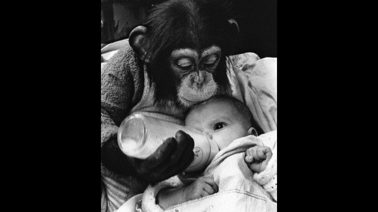 wigger in the making