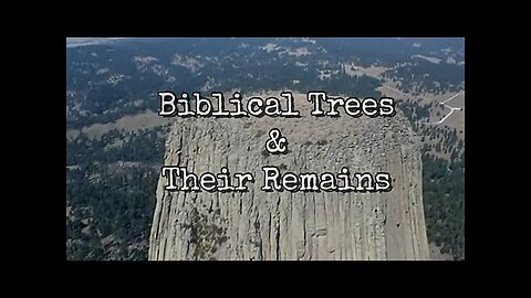 BIBLICAL TREES & THEIR REMAINS