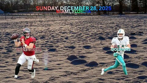 Tampa Bay Buccaneers @ Miami Dolphins, Week 17, Diggin' Deeper Into Tbe NFL