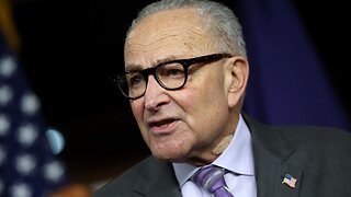'Vicious And Nasty' - Schumer Makes Shocking Admission On National TV