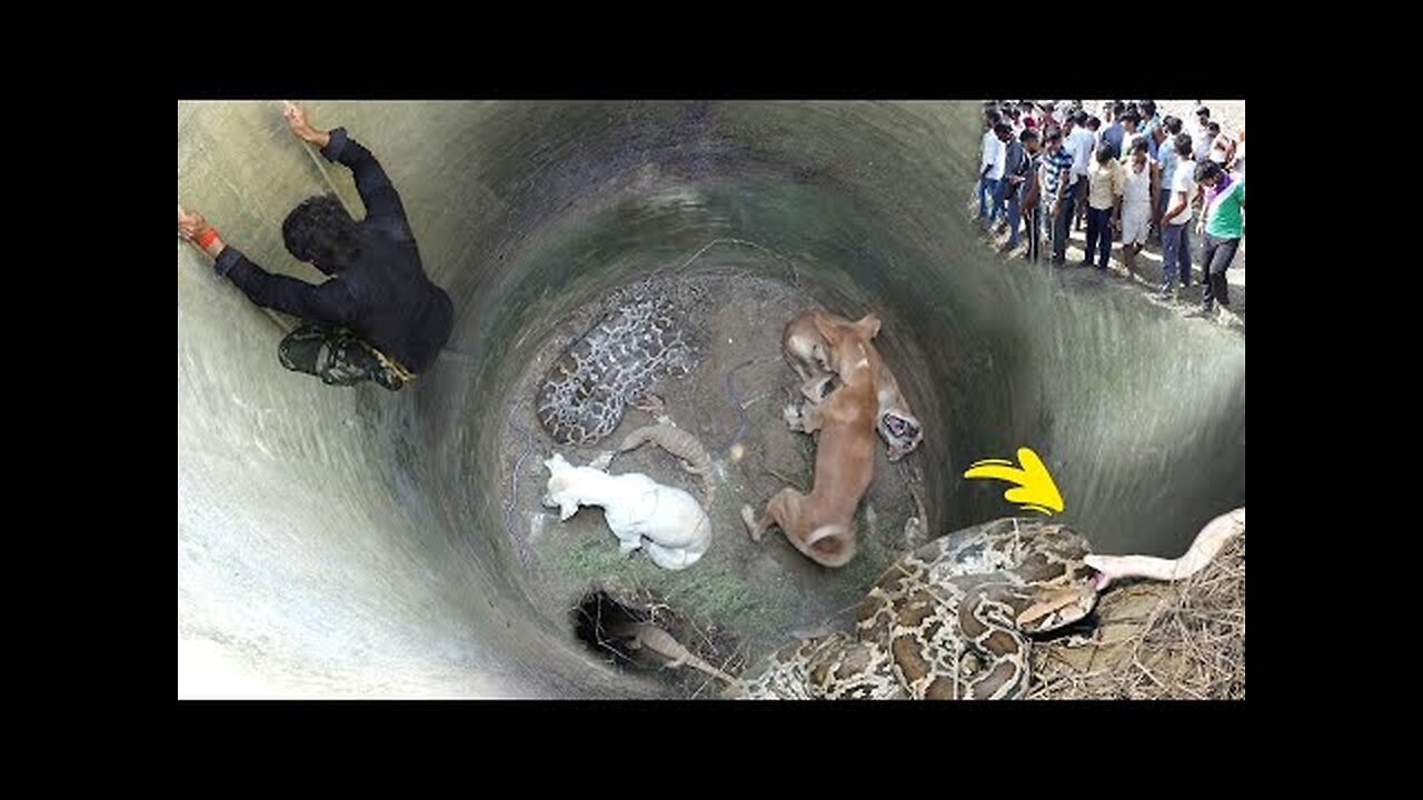 Unbelievable video caught on camera 😱 Such a dangerous act for the first time in your life..."