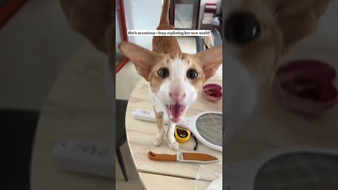 They threw it on the trash and the man saved it