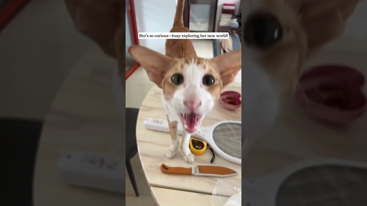 They threw it on the trash and the man saved it