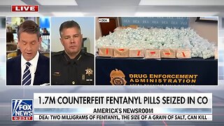 WATCH: Record-breaking drug load discovered in auctioned storage unit