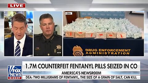 WATCH: Record-breaking drug load discovered in auctioned storage unit