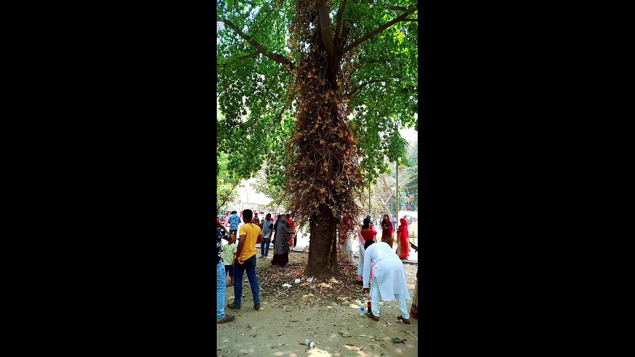 এই প্রেম বুঁকে ধরে আমি হয়তো যাবো হারিয়ে...