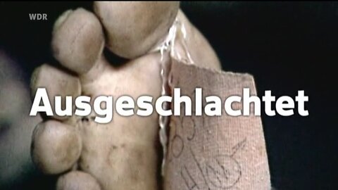 Ausgeschlachtet - Handel mit ukrainischen Leichenteilen