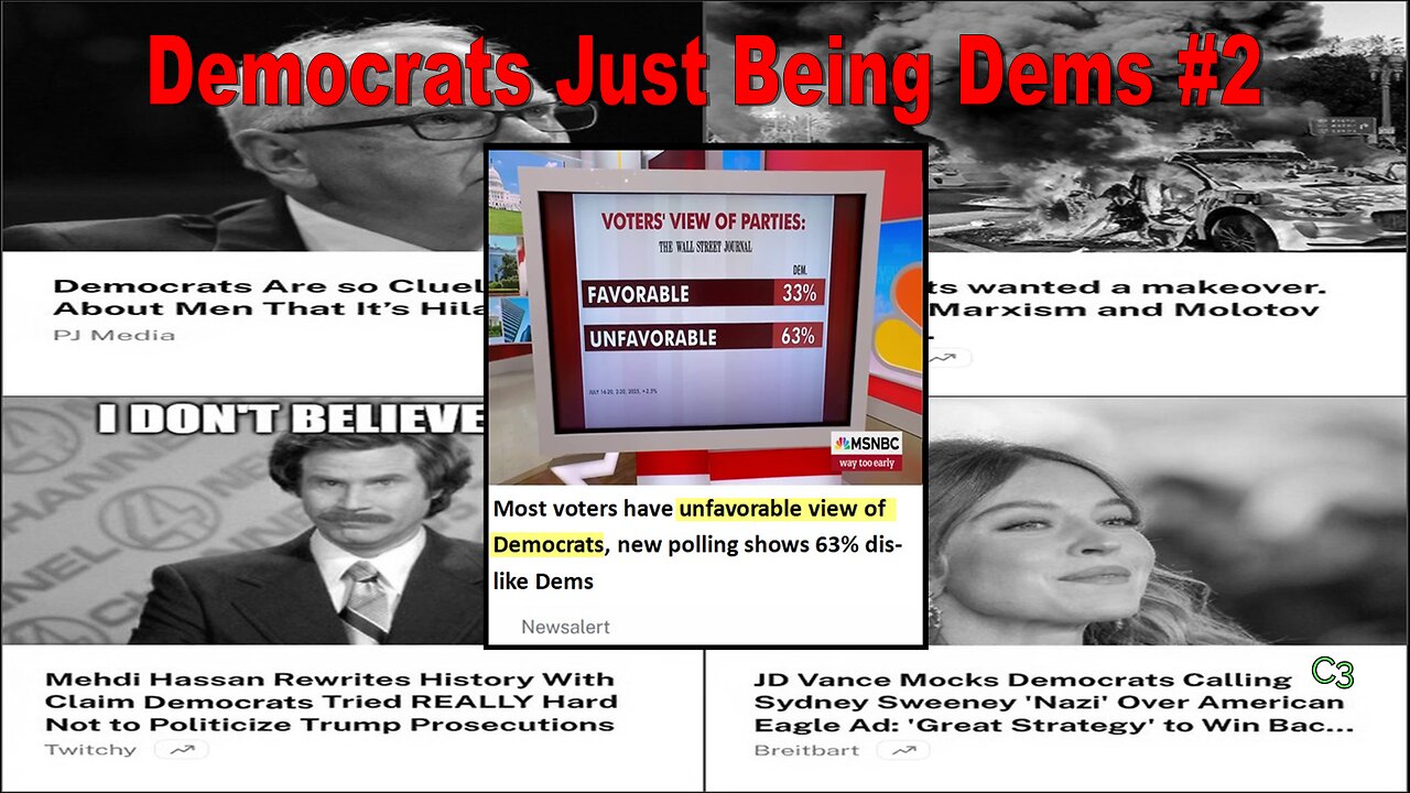 Democrats Just Being Democrats #2