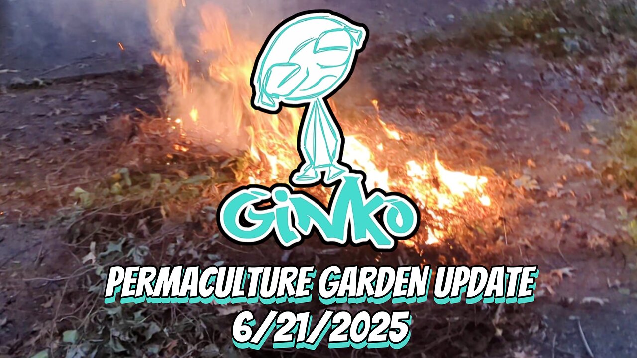 Permaculture Garden Update 6/21/2025