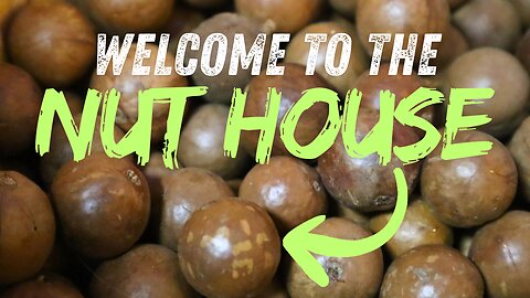 Hawaii's BEST Macadamia Nuts | Hāmākua Macadamia Nut Company