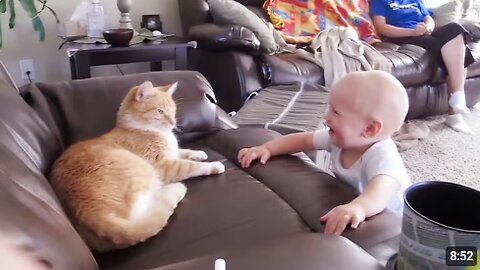 Baby And Cat Fun And Cute #5 - Funny Baby Videos