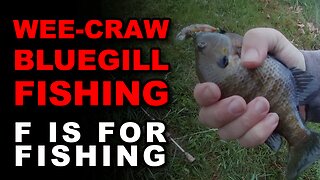 Wee-Craw Bluegill Fishing