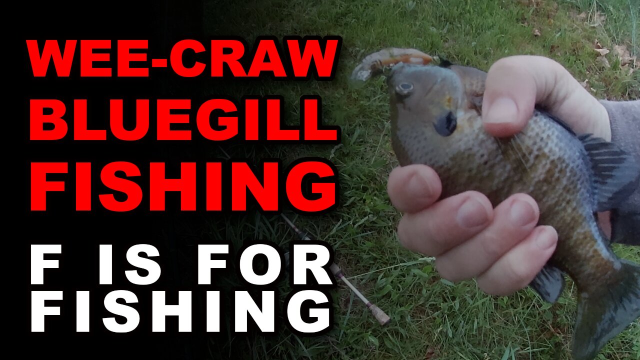 Wee-Craw Bluegill Fishing