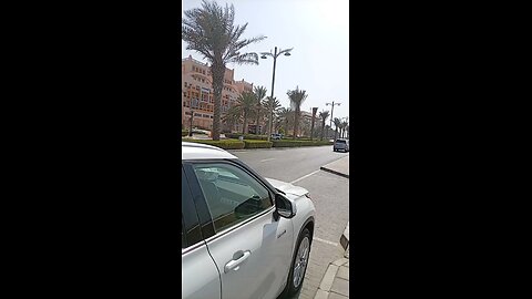 in Dubai palm