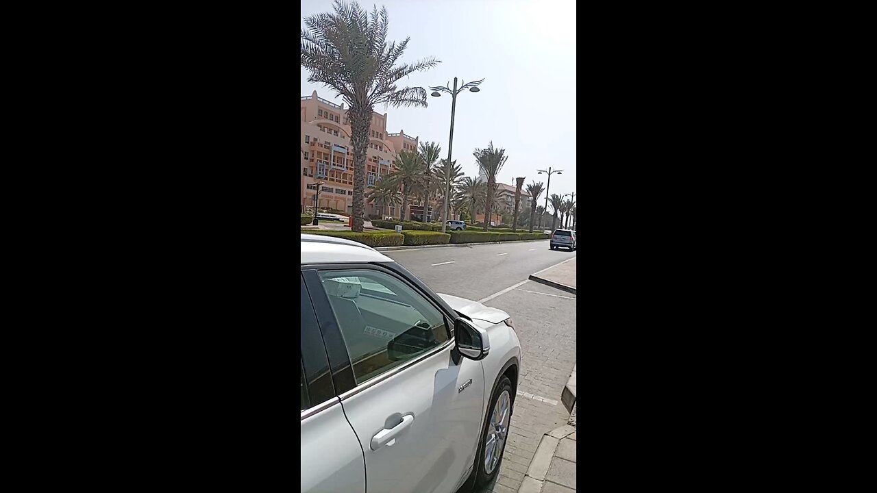 in Dubai palm