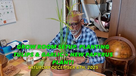 Winter Gardening in Kamakura Japan: Grow Room Setup, Planting Tulips & Garlic + New Papyrus Plant!