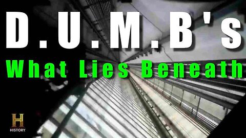 "Unveiling the Mysteries: What Lies Beneath D.U.M.B's - A Comprehensive Analysis"