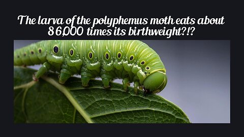 Fun Fact for May 27th 2025 Pt 2