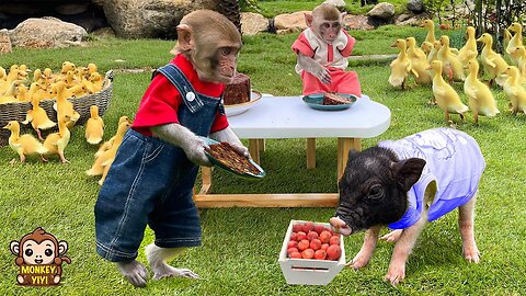 Very touching moments of baby monkey YiYi diligently taking care of friends