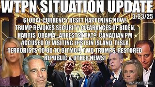 WTPN SIT/UP: GCR has begun, Epstein files, Fulford, J. Carmen, Elon, Tesla terrorists & more.