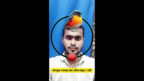 পাখিটি উড়িয়ে দেখান ৮৬ 🧩✅