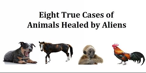 EIGHT TRUE CASES OF ANIMALS HEALED BY EXTRATERRESTRIALS