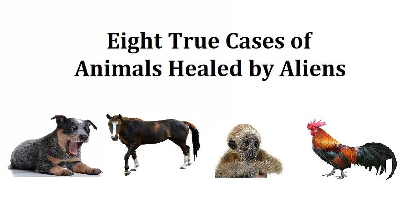 EIGHT TRUE CASES OF ANIMALS HEALED BY EXTRATERRESTRIALS